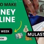 Mulastar Agencies Nigeria - Earn Money online Smoothly 3 Mulastar Agencies Nigeria – Earn Money online Smoothly