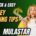 Mulastar Agencies – Your Ultimate Guide to Online Earnings