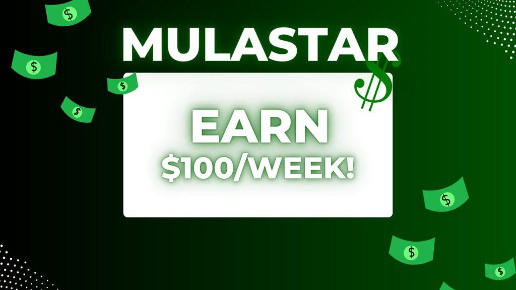 Mulastar Agencies Nigeria 6 5