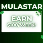 Mulastar Agencies Nigeria