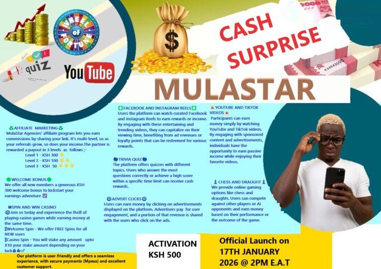 Mulastar – Mulastar Agencies | How Mulastar Agencies works?