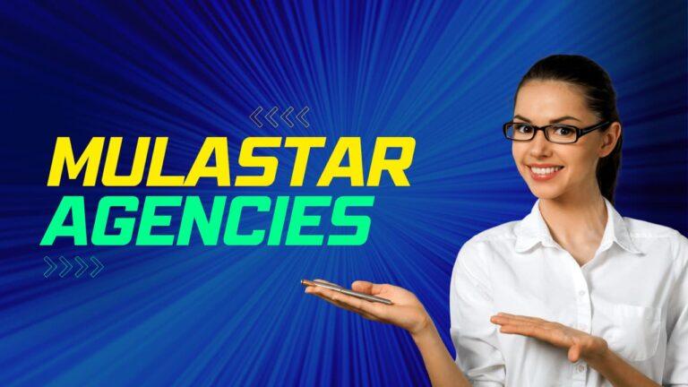 How to Earn with Mulastar Agencies: The Ultimate Global 2026 Guide