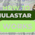 Mulastar Agencies – Your Digital Site to Online Earnings