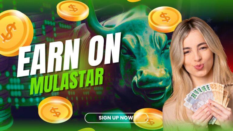 Common Problems in Mulastar Agencies and Solutions (2026 Guide)